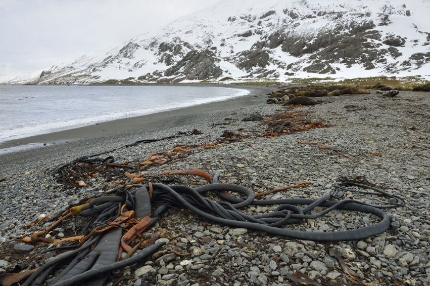 King Haakon Bay, United Kingdom